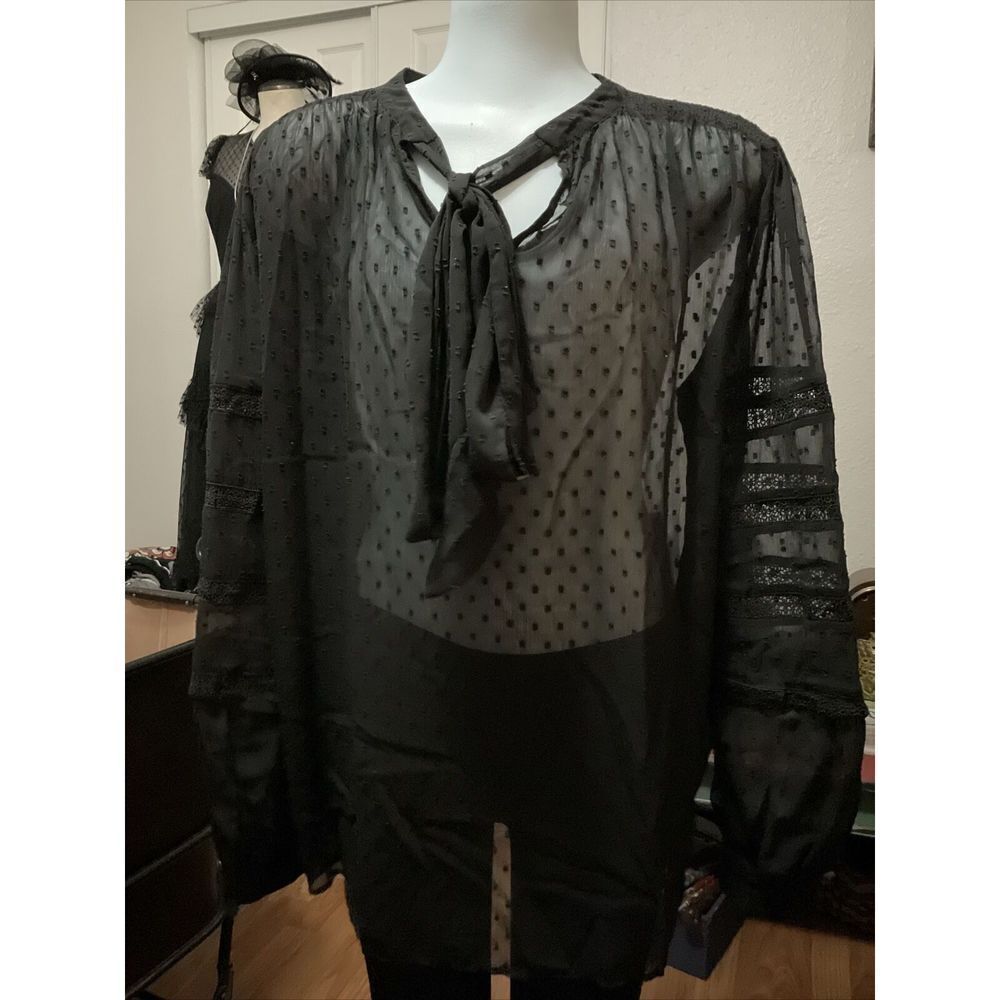 Ann Taylor Womens Sheer Blouse Black V Neck W Tie Accent, Embroidered L Sleeve M